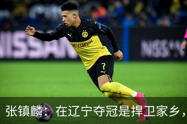 张镇麟：在辽宁夺冠是捍卫家乡，来上海拿冠军证明我换队也可以赢